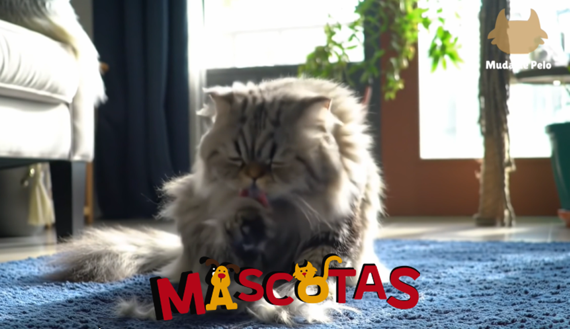 Muda de pelaje gatuno, ¿periódica o constante?