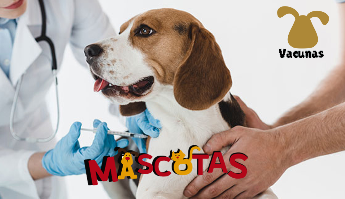 La importancia de las vacunas