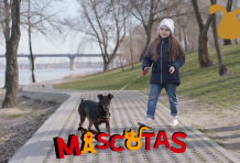 ¿Cómo hacer que mi perro camine junto a mi?