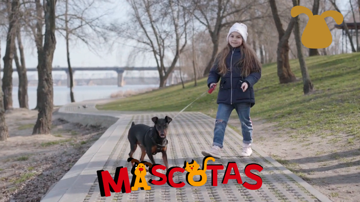 ¿Cómo hacer que mi perro camine junto a mi?